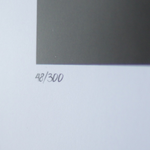 FAIRCHILD PARIS: KAWSxSupreme "Snoopy" Print - Picture 3 of 4